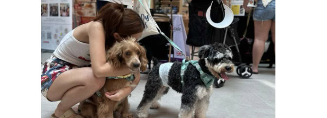 Alt Attribute Lillidale Animal Health at Paws & Play Festival @ Plantation Plaza
